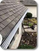 Gutter Guard Protection
