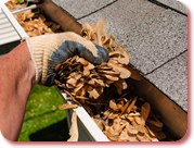 Gutter Cleaning