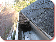 Packed gutter cleared